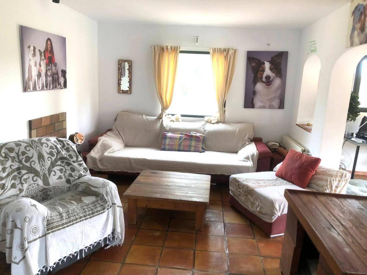 El Paraiso De Los Perros Polop Exteriér fotografie